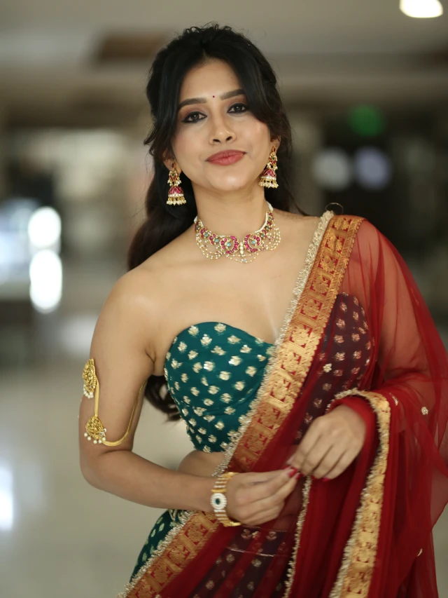 Nabha Natesh Stunning Looks like a Queen