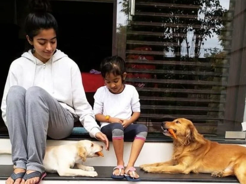 Rashmika Family Photos