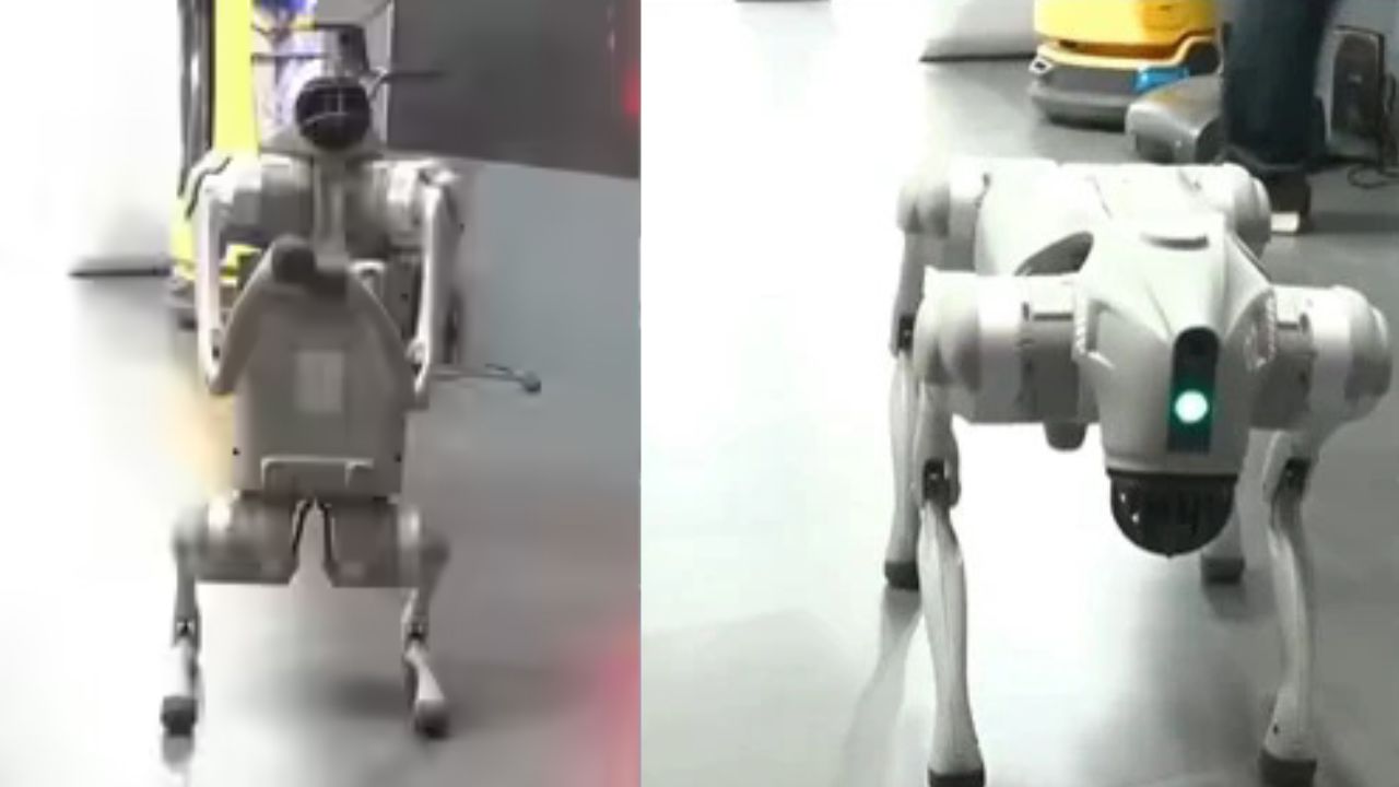 చైనా తయారు చేసిన రోబో డాగ్‌ను తీసుకొచ్చి.. “మేమే తయారుచేశాం” అని చెప్పుకున్న మన వర్సిటీ.. చివరకు
