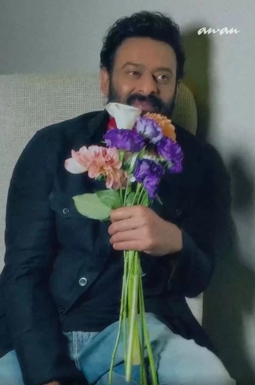 Prabhas Special Photo shoot for Japan Magazine ANAN