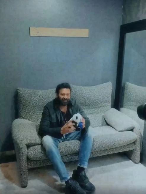 Prabhas Special Photo shoot for Japan Magazine ANAN