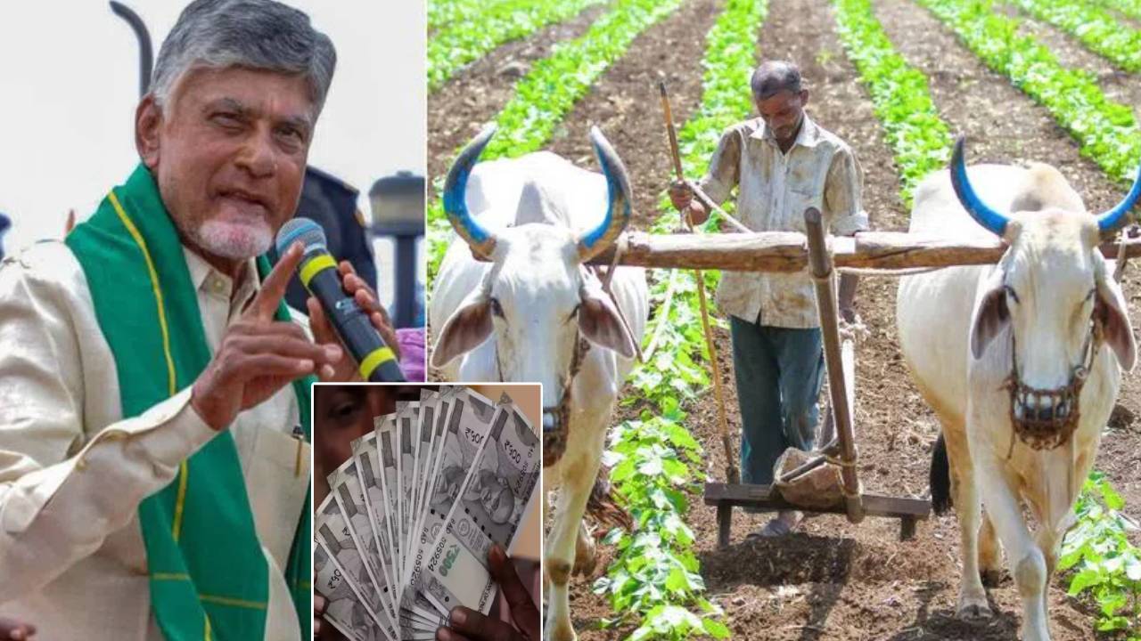 Annadata Sukhibhava : అన్నదాత సుఖీభవ డబ్బులు ఈసారి వారికి మాత్రమే.. ఏపీ సర్కార్ కీలక నిర్ణయం.. మీ పేరు ఉందో ఇలా చెక్ చేసుకోండి..