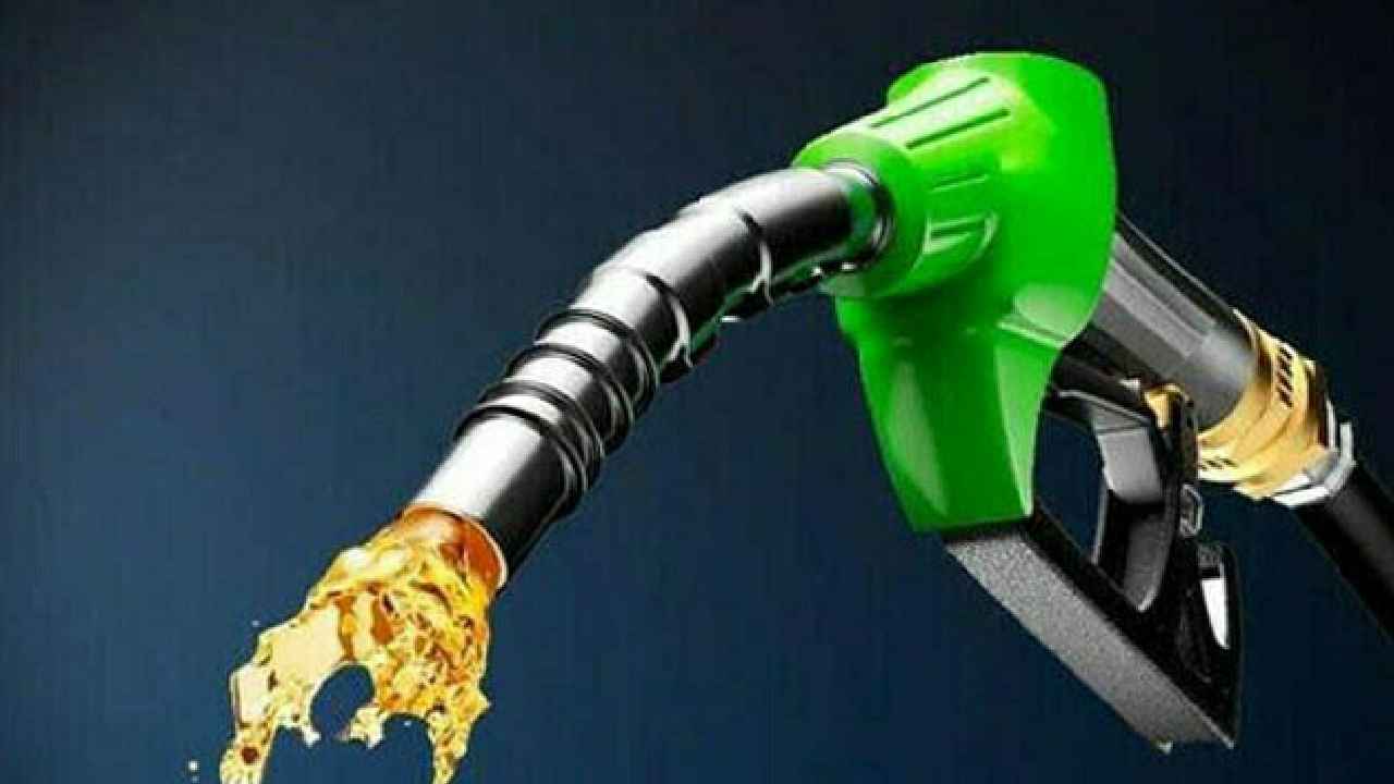 Slovenia Government: ఆ ప్రభుత్వం సంచలనం.. రేషన్ తరహాలో పెట్రోల్, డీజిల్.. రోజుకి ఇన్ని లీటర్లే..