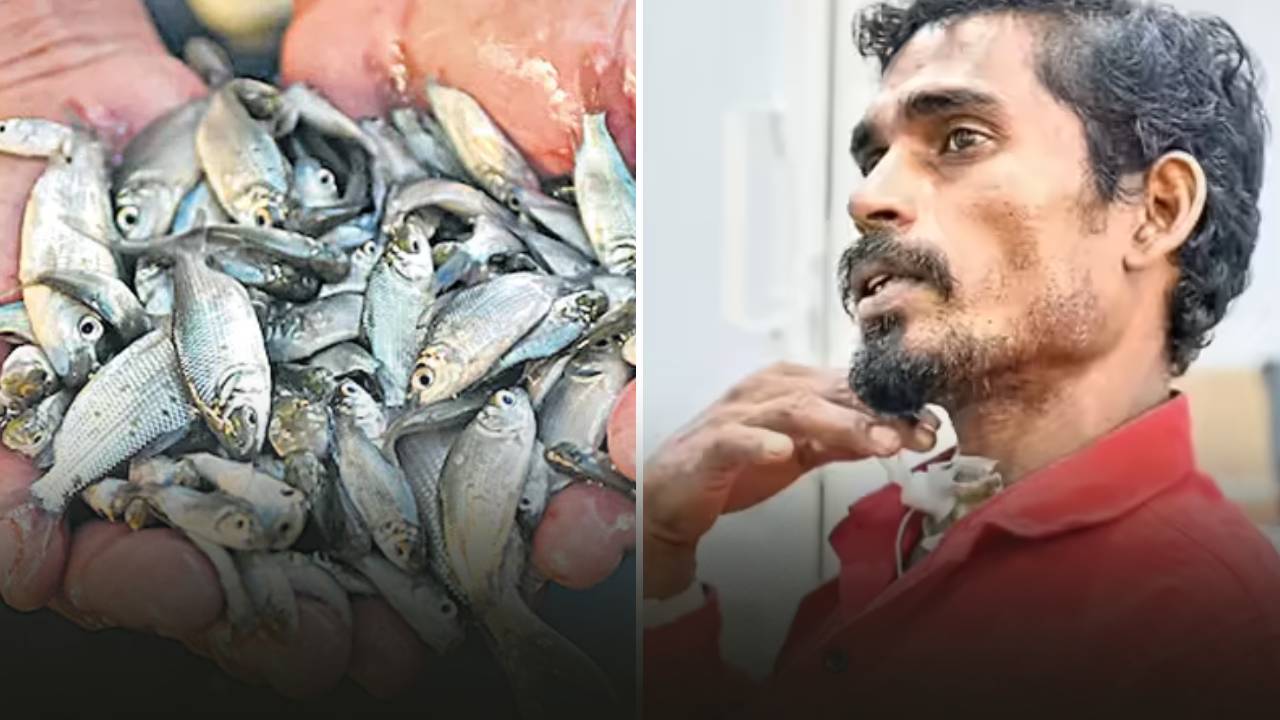 Live Fish Stuck In Fisherman Throat : అరెరే పాపం..! వలలో నుంచి ఎగిరి నోట్లోకి దూరిన చేప.. గొంతులో ఇరుక్కొని నరకయాతన.. వైద్యుల వద్దకెళ్తే..