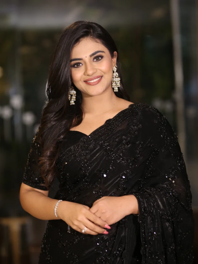 Raakaasa Pre Release Event