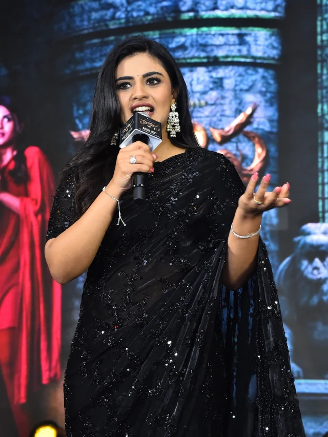 Raakaasa Pre Release Event