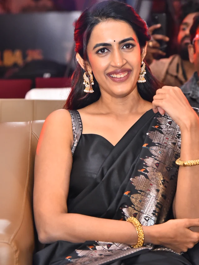 Raakaasa Pre Release Event