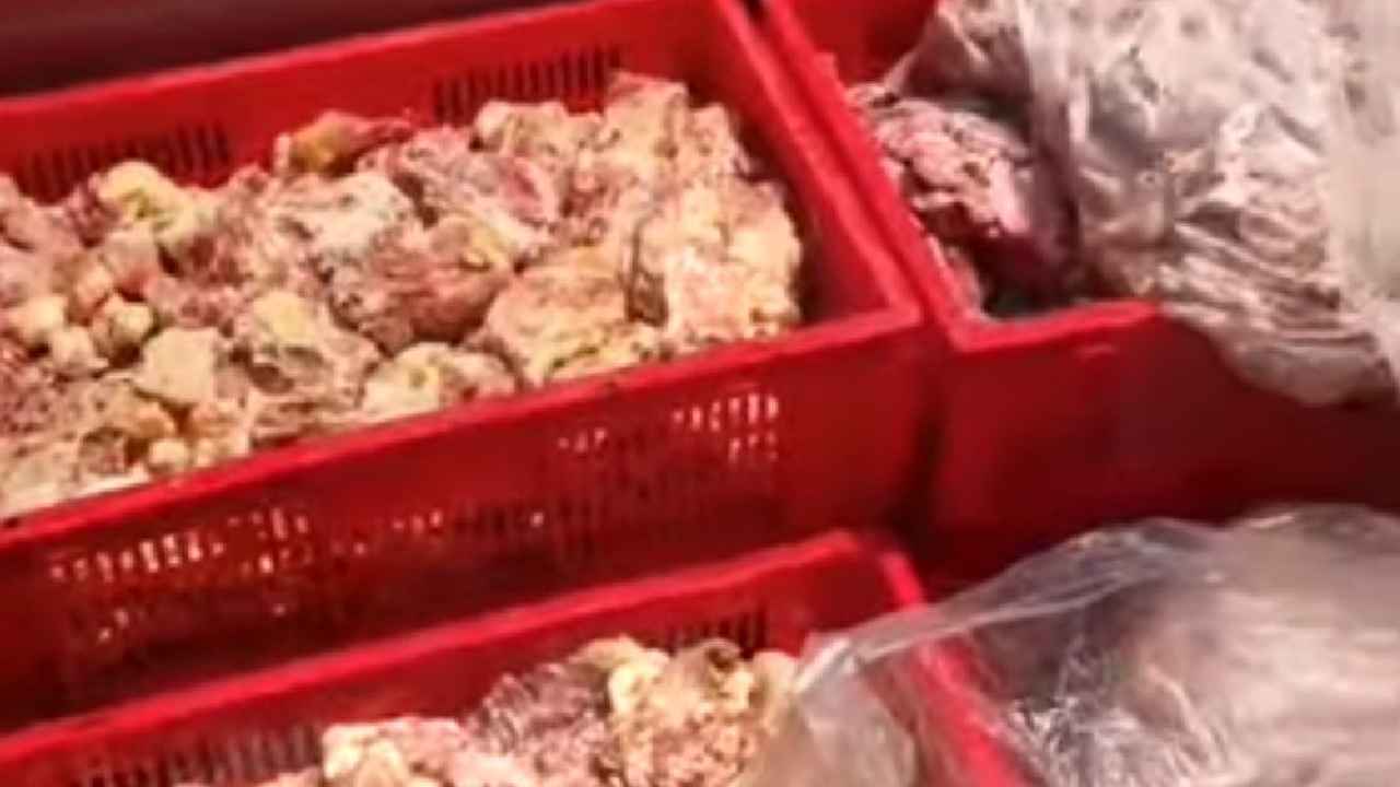 Rotten Chicken: హోటళ్లు, రెస్టారెంట్లలో చికెన్ తింటున్నారా? బీకేర్ ఫుల్.. 352 కేజీల కుళ్లిన చికెన్ సీజ్.. ఇది తింటే చావే..!