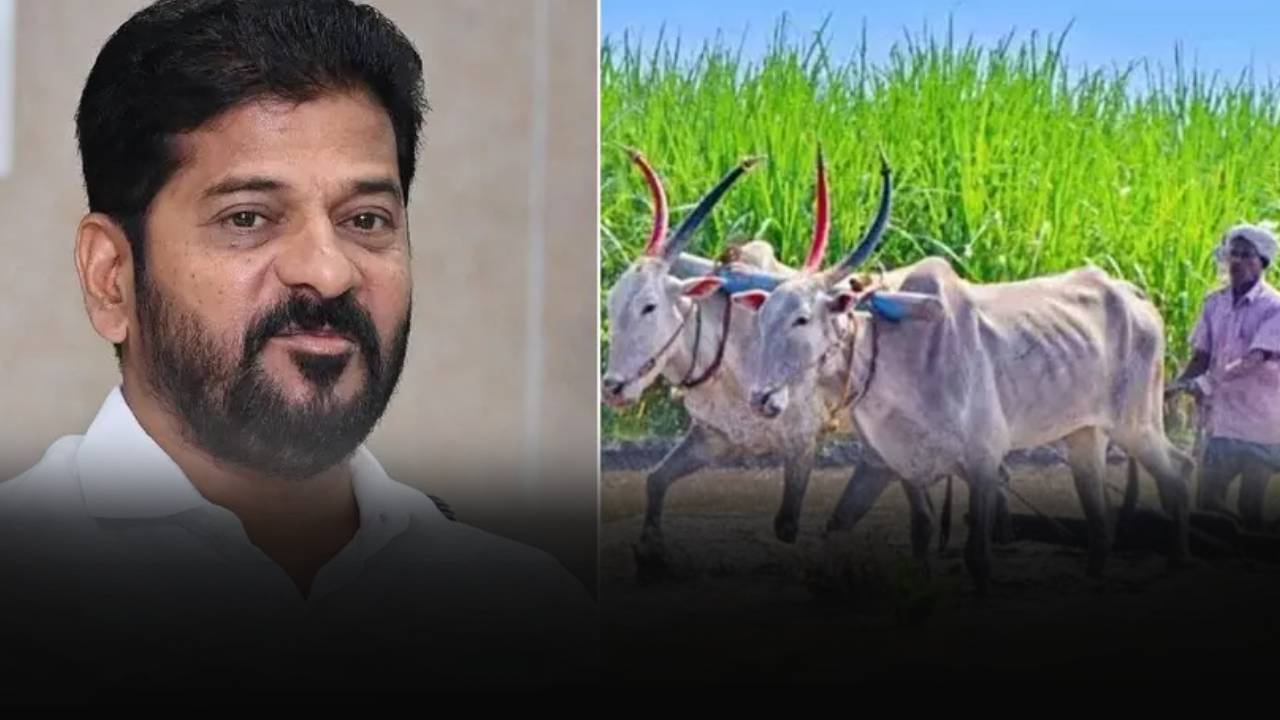 Rythu Bharosa : వారికి మాత్రమే ‘రైతు భరోసా’ నిధులు.. రేవంత్ సర్కార్ కీలక నిర్ణయం..