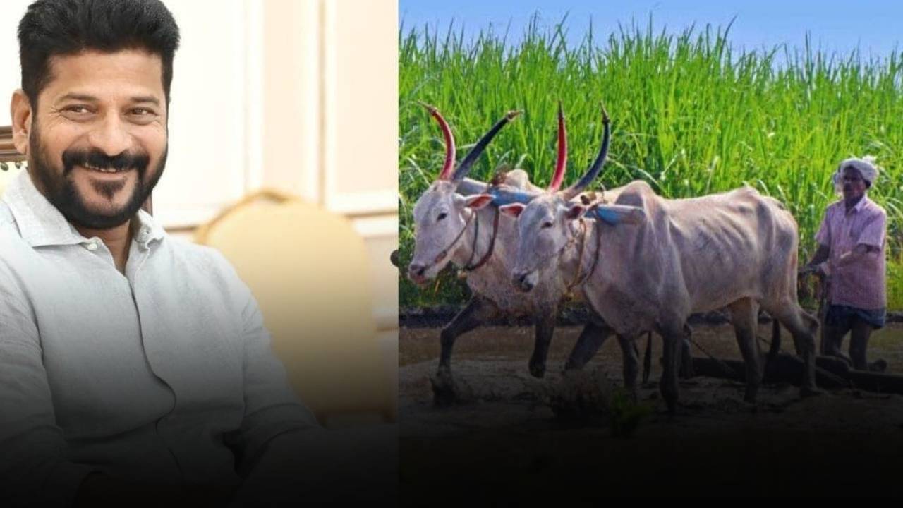 Rythu bharosa : రైతు భరోసా నిధులు వచ్చేస్తున్నాయ్.. కేవలం ఆ రైతుల బ్యాంక్ ఖాతాల్లోకి మాత్రమే నిధులు.. ఇతర పంటలకూ బోనస్..!