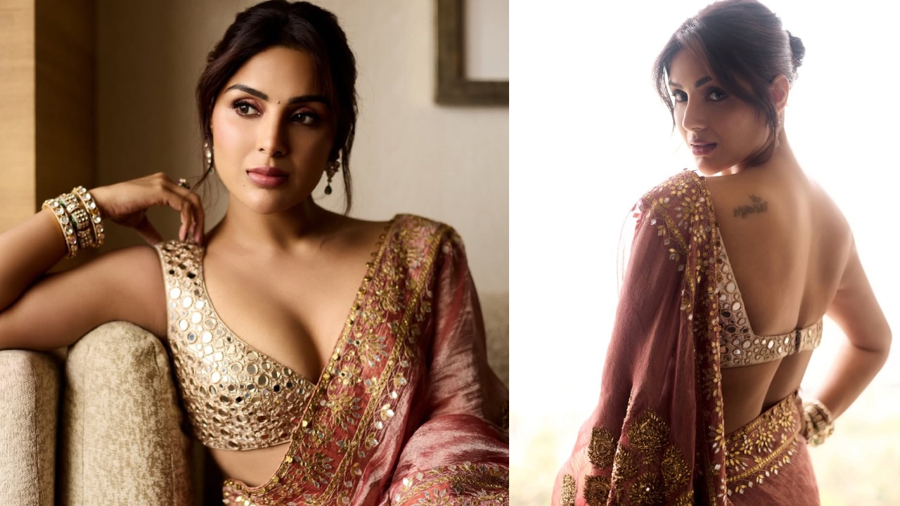 Samyuktha Menon : చీరకట్టులో అందాలు ఆరబోస్తూ.. సంయుక్త స్టన్నింగ్ లుక్స్..