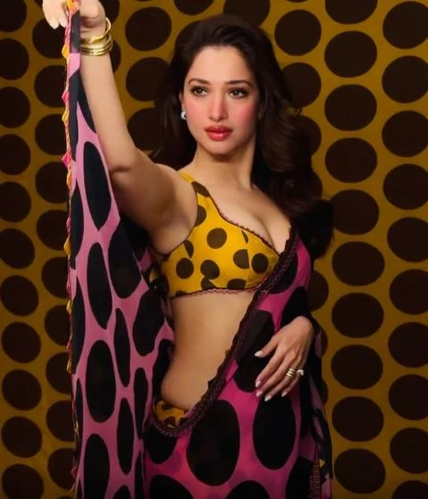 Tamannaah Bhatia Stunning Looks in Saree