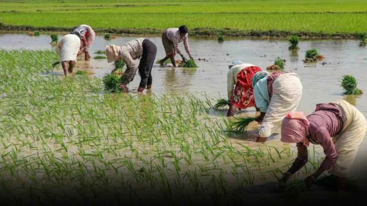 Rythu Bharosa : రైతులకు రేవంత్ సర్కార్ మరో శుభవార్త.. ‘రైతు భరోసా’ కొత్త అప్లికేషన్లు ప్రారంభం.. వెంటనే ఇలా చేయండి..