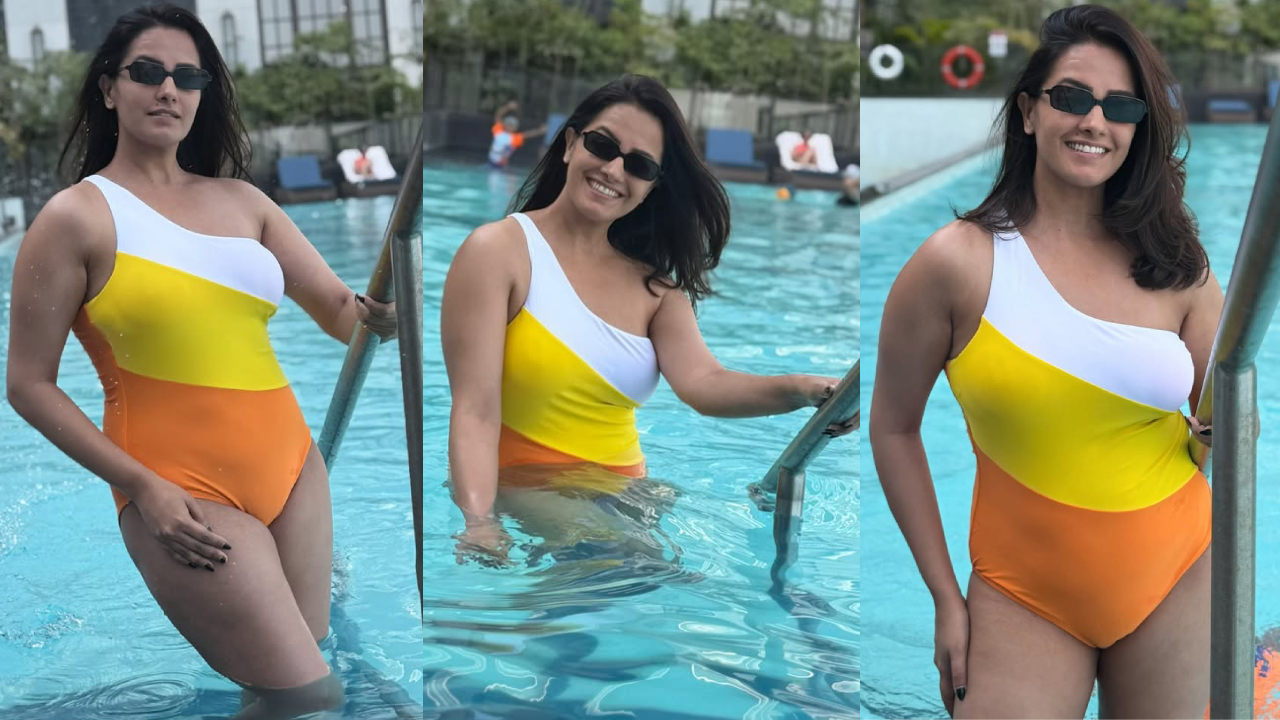 Anita Hassanandani: నువ్వు నేను ఫేమ్ అనిత.. స్విమ్ సూట్ లో రచ్చ లేపిందిగా.. ఫొటోలు