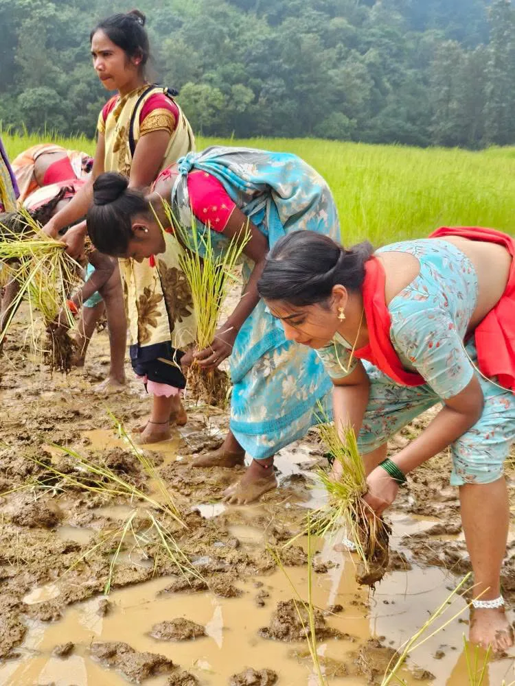 Bigg Boss fame Inaya Sultana engaged in agricultural work