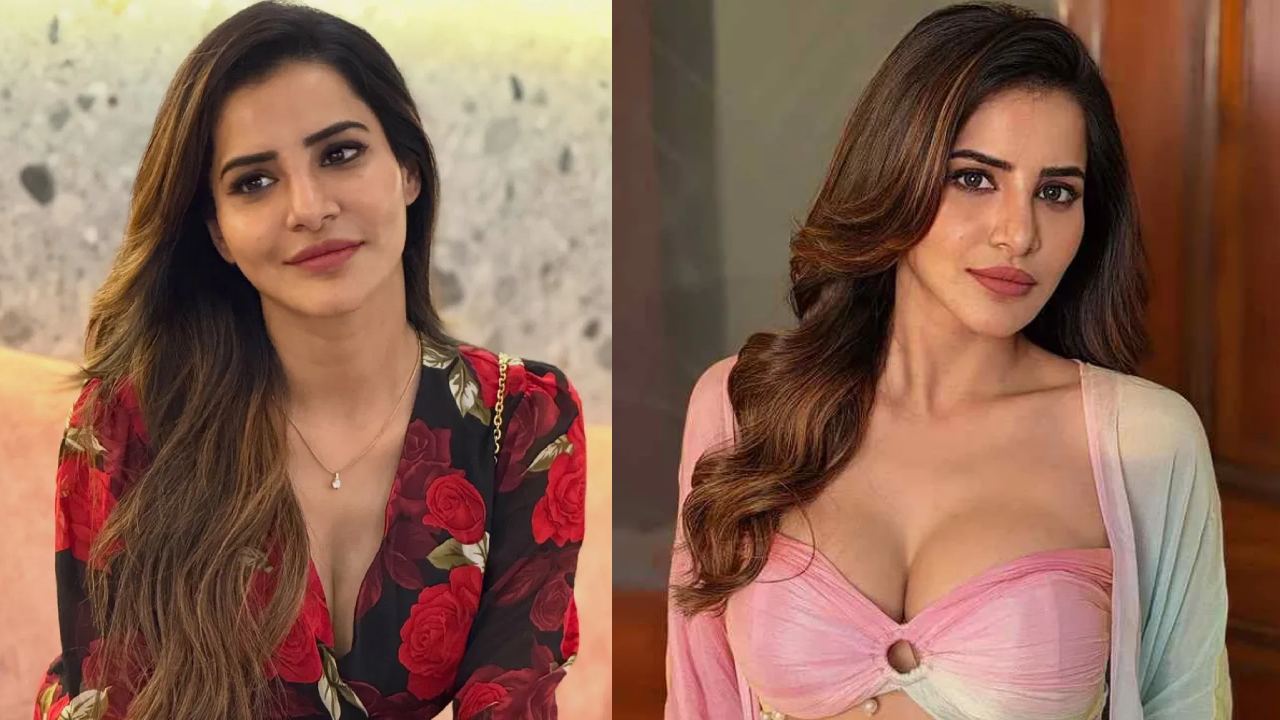 Ashu Reddy: ప్రేమ, పెళ్లి పేరుతో రూ.9 కోట్ల మోసం.. బిగ్ బాస్ అషు రెడ్డిపై కేసు నమోదు