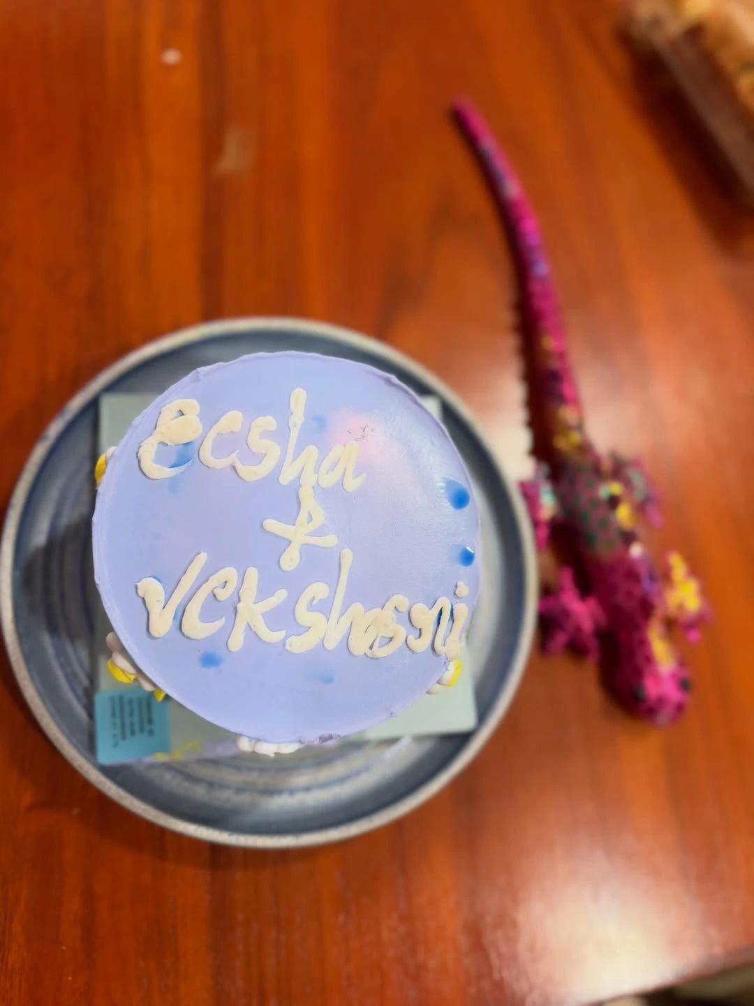 Eeshaa Rebba Birthday Celebrations