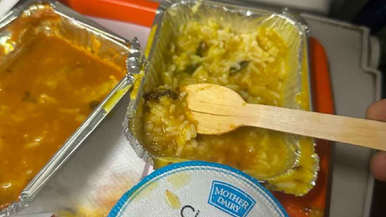 Insect In Food: వందే భారత్ రైలులో దారుణం.. ప్రయాణికుడికి ఇచ్చిన ఆహారంలో పురుగు