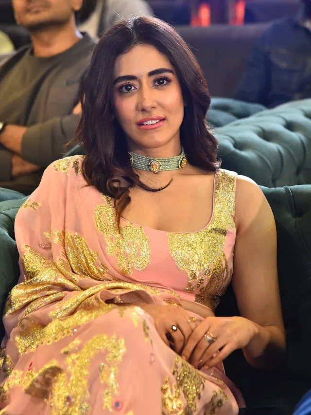 Jonita Gandhi Shines in Dacoit Pre Release Event