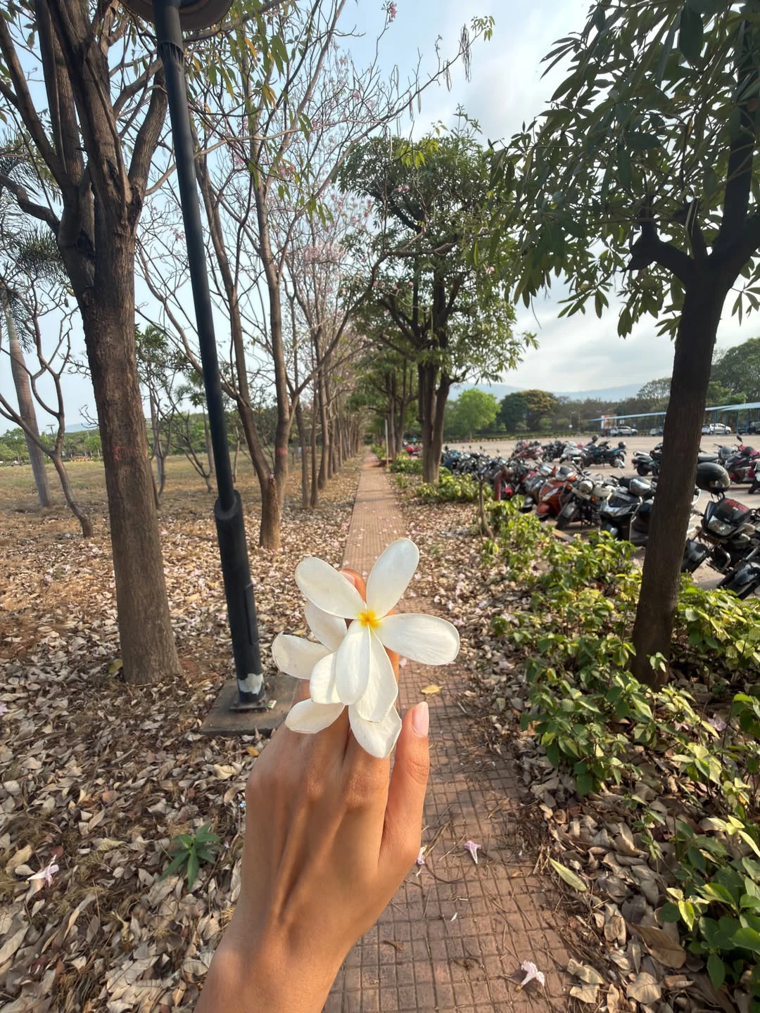 Mrunal Thakur Cute Photos with Flowers