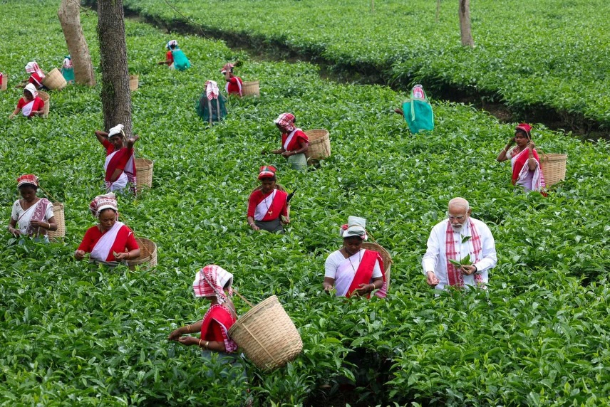 PM Narendra Modi interaction with the women working in Assam Tea Gardens