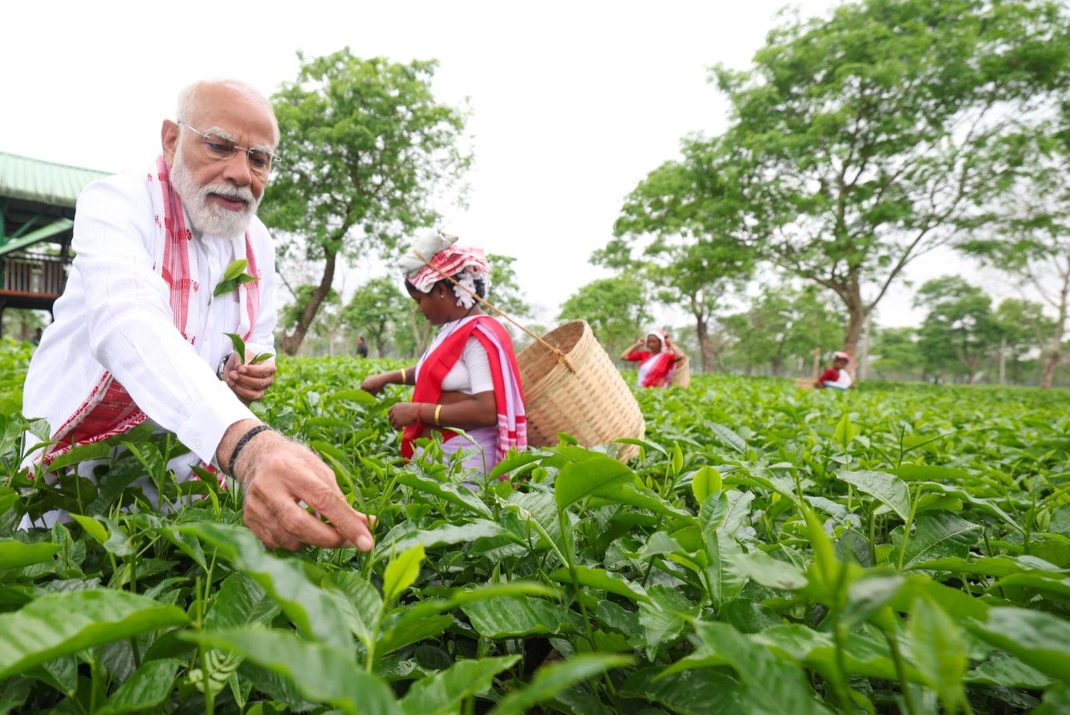 PM Narendra Modi interaction with the women working in Assam Tea Gardens