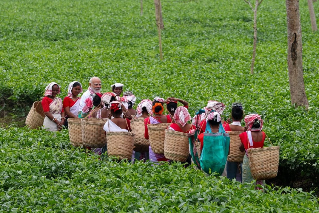 PM Narendra Modi interaction with the women working in Assam Tea Gardens