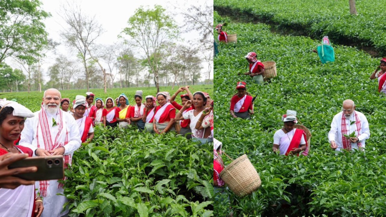 PM Narendra Modi : అస్సాం టీ తోటల్లో.. మహిళా శ్రామికులతో ప్రధాని మోదీ..