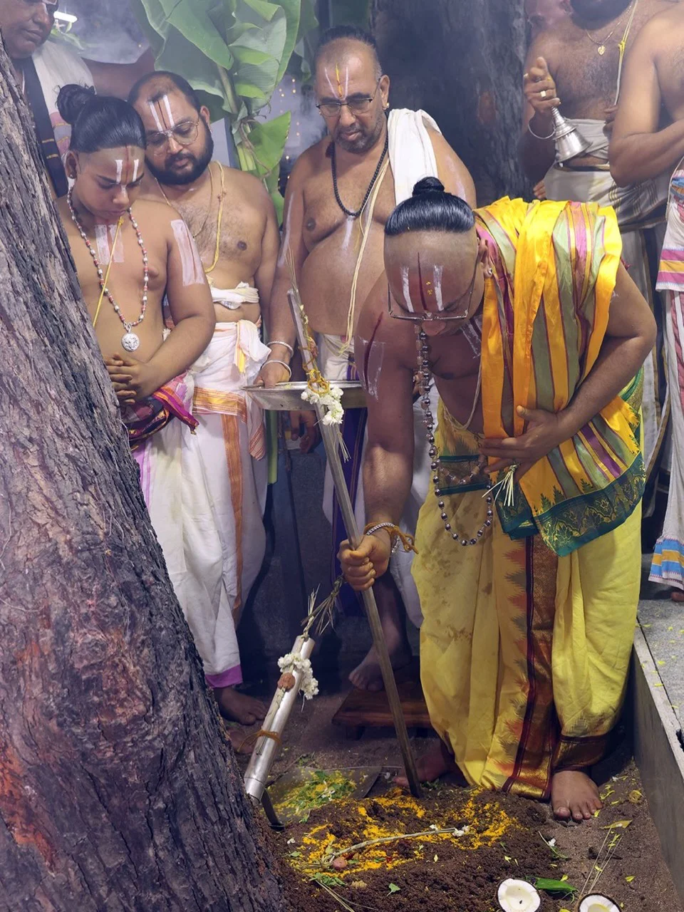 Sri Padmavathi Ammavari Vasanthotsavams