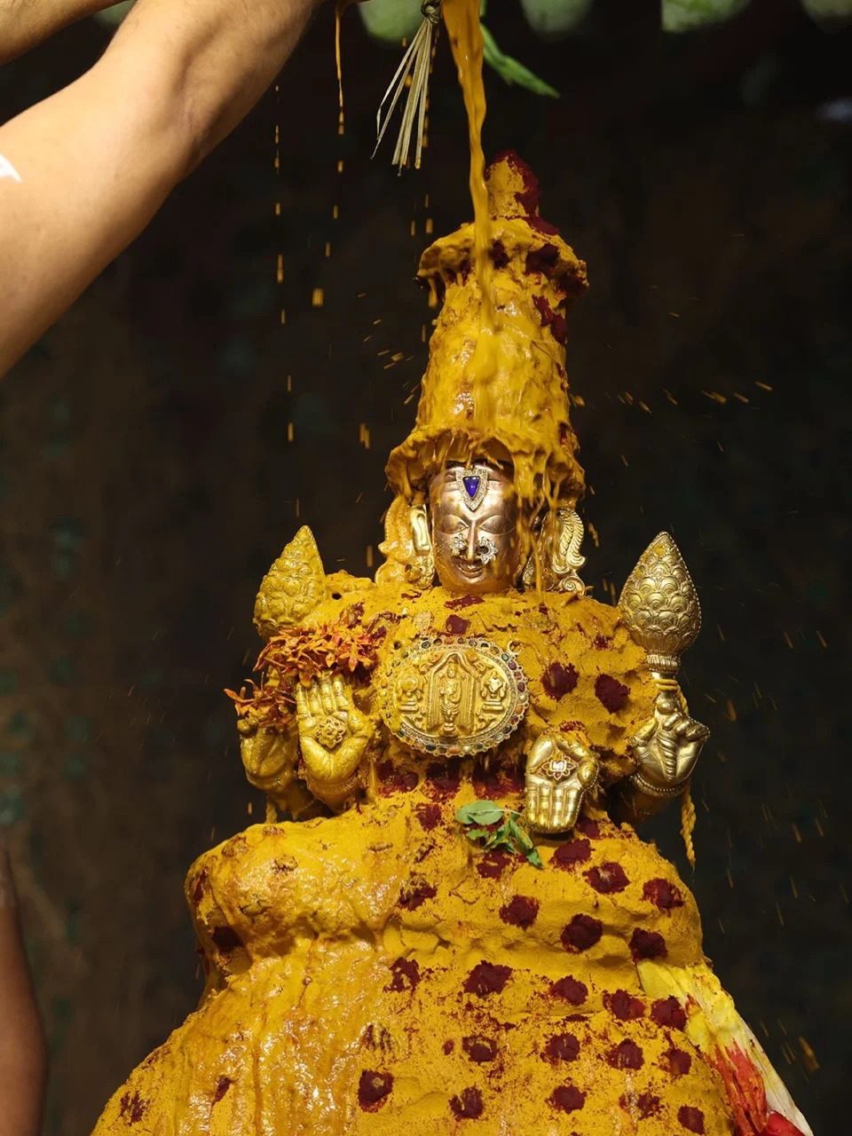 Sri Padmavathi Ammavari Vasanthotsavams