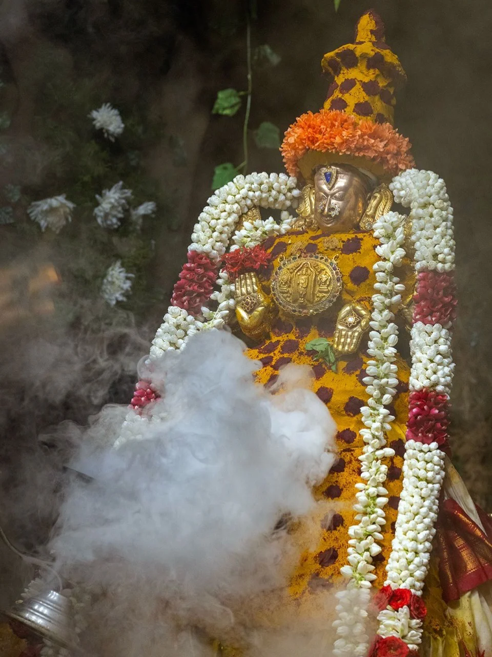 Sri Padmavathi Ammavari Vasanthotsavams
