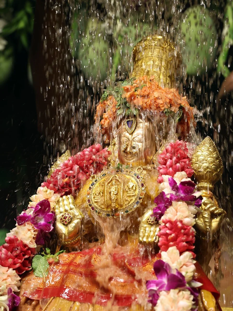 Sri Padmavathi Ammavari Vasanthotsavams