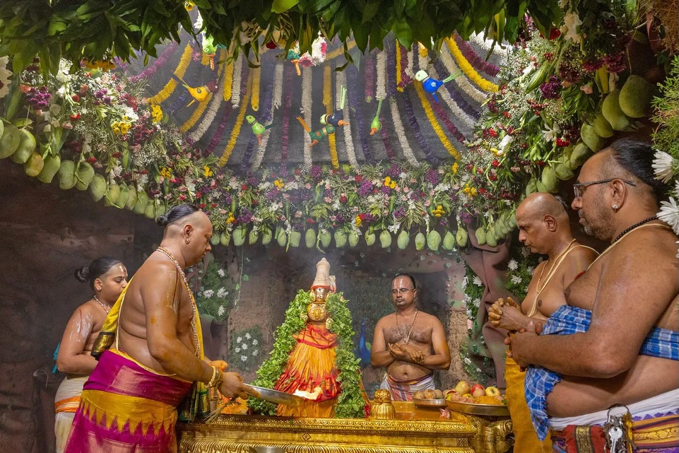Sri Padmavathi Ammavari Vasanthotsavams