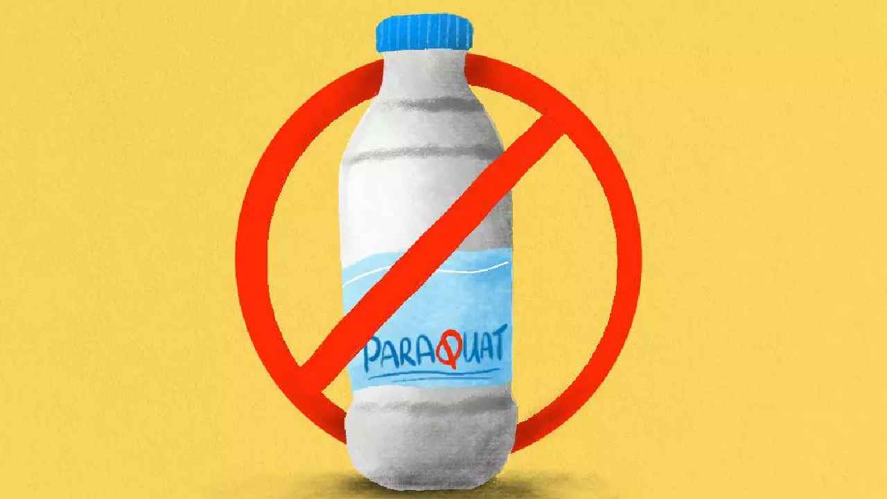 Paraquat Dichloride: తెలంగాణ ప్రభుత్వం కీలక నిర్ణయం.. అత్యంత ప్రమాదకరమైన ఆ గడ్డి మందుపై నిషేధం