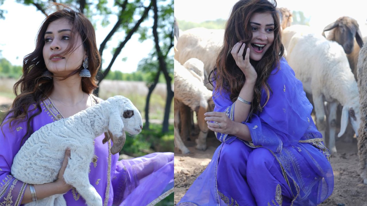 Payal Rajput : గొర్రె పిల్లల మధ్య కుర్ర పిల్ల.. పాయల్ రాజ్ పుత్ క్యూట్ ఫొటోలు..