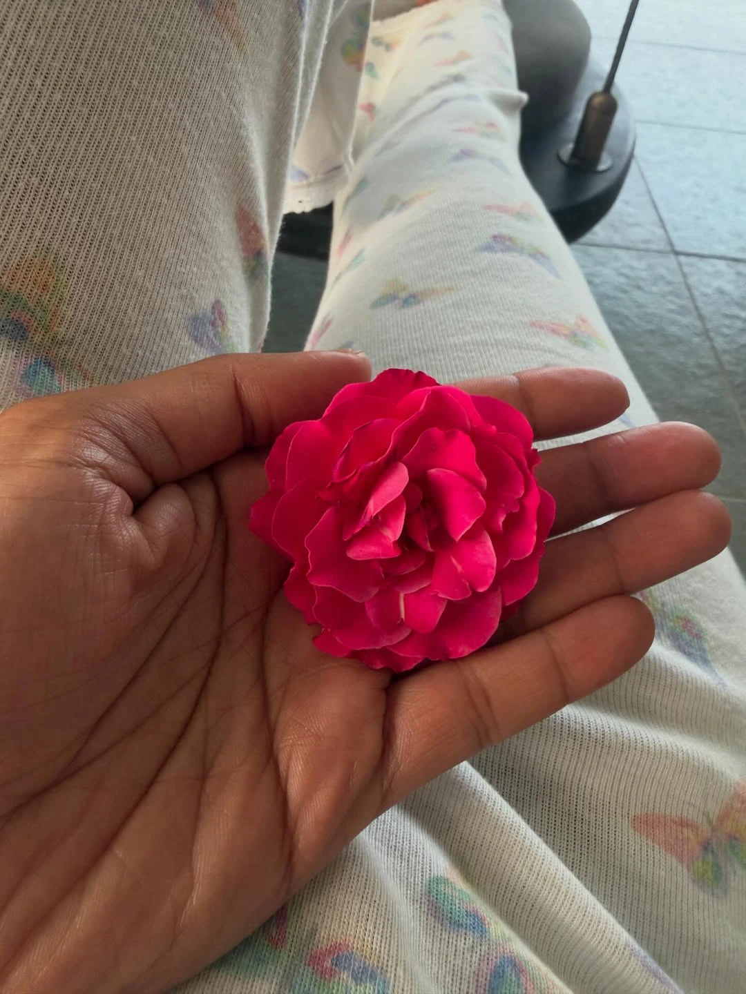 Priyanka Chopra India Trip Photos