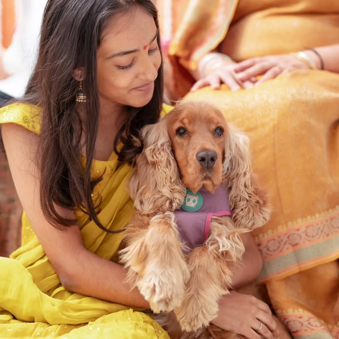 Rashmika Mandanna Sister Shiman Mandanna Shares Special Photos