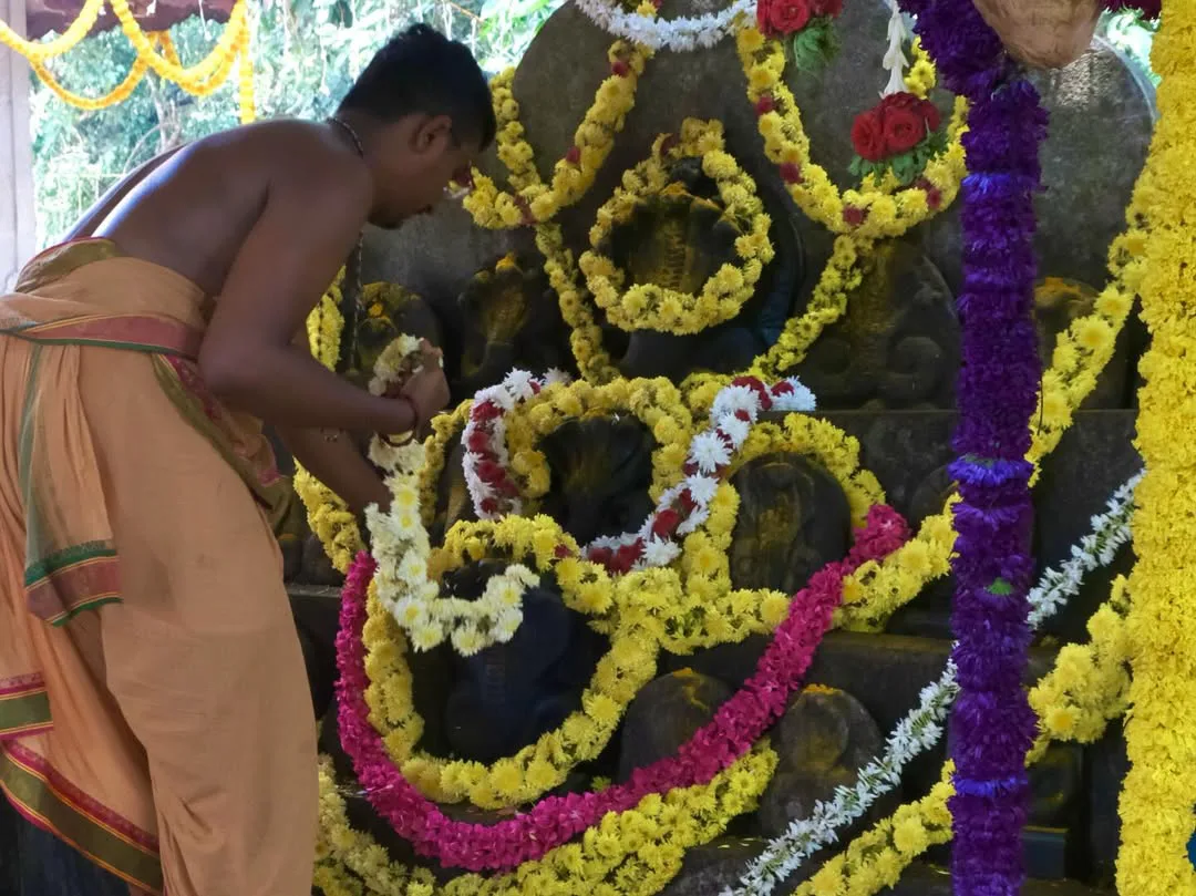 Star Heroine Pooja Hegde chennai vacation photos