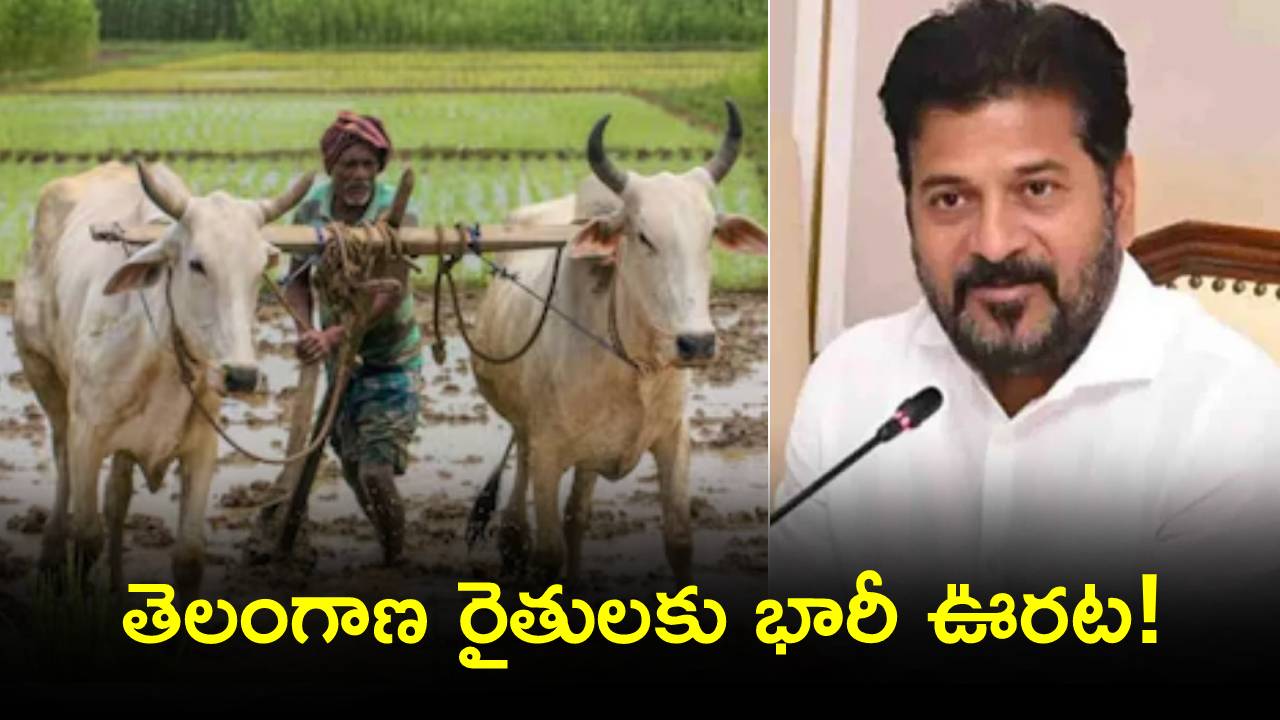 Telangana Govt : తెలంగాణలోని రైతులకు భారీ ఊరట.. ఇక ఆ సమస్యలకు చెక్! వెంటనే మీ అప్లికేషన్ స్టేటస్ తెలుసుకోండి..