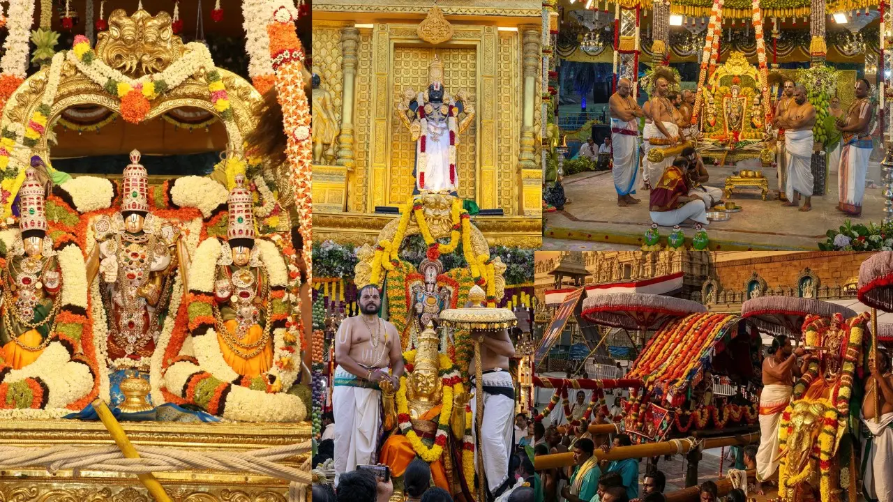 Tirumala Sri Padmavati Srinivasa Parinayotsavam