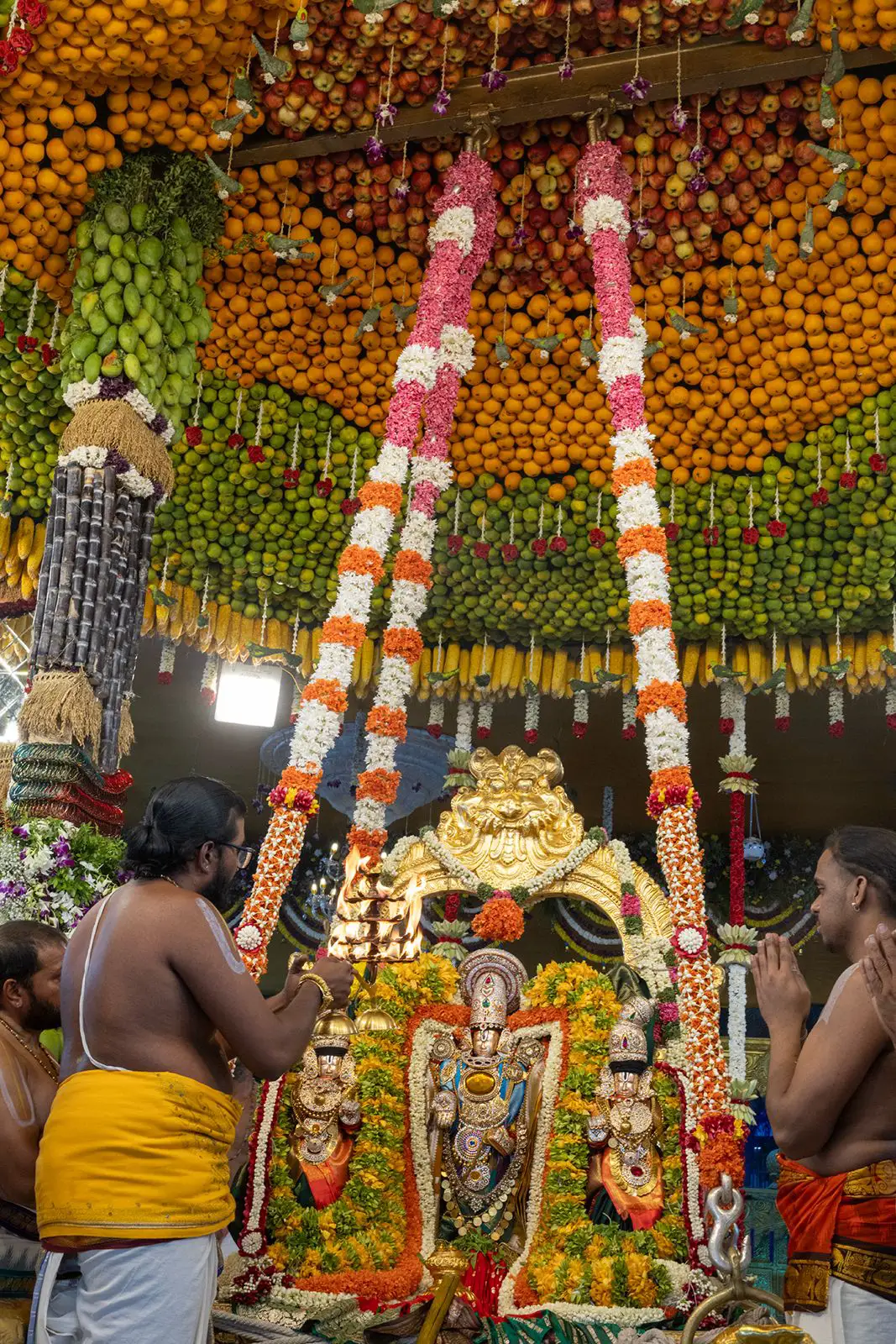 Tirumala Sri Padmavati Srinivasa Parinayotsavam