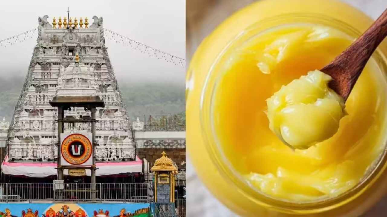 Tirumala Ghee Adulteration Case: మళ్లీ న్యూస్‌ హెడ్‌లైన్‌గా కల్తీ నెయ్యి ఎపిసోడ్.. నెల్లూరు ఏసీబీ కోర్టు ఎంట్రీ.. ఏం తేల్చనుంది?