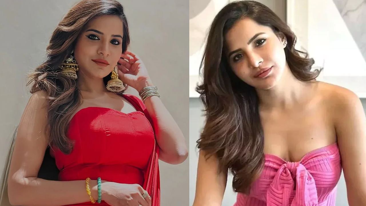 Ashu reddy: రూ.9 కోట్ల మోసం.. అషు రెడ్డి ఆడియో కాల్స్ లీక్.. ఎన్నారై ధర్మేంద్రకు బెదిరింపులు