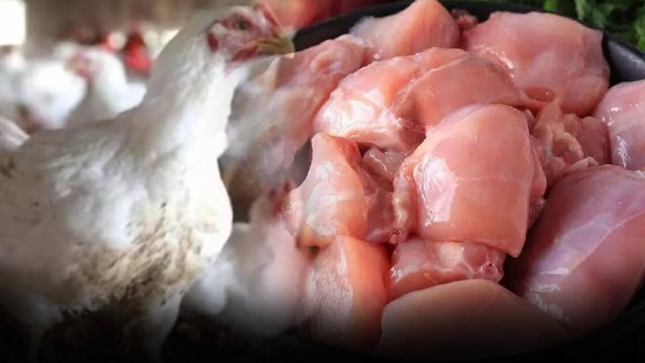 Chicken Prices : సండే అని చికెన్ కొంటున్నారా..? అయితే, ఈ విషయాలు తెలుసుకోండి..