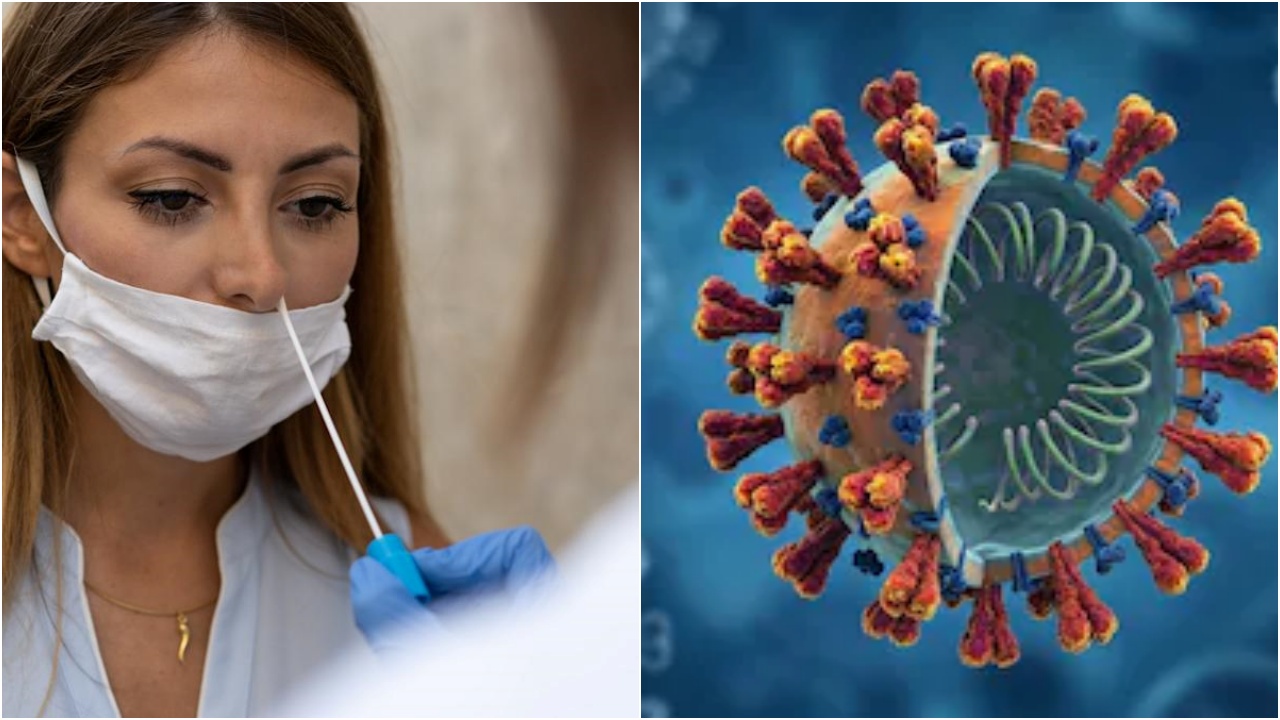 COVID 19 Cicada : కోవిడ్ కొత్త వేరియంట్ సికాడా.. లక్షణాలు ఎలా ఉంటాయి.. ఎంత ప్రమాదకారి అంటే..