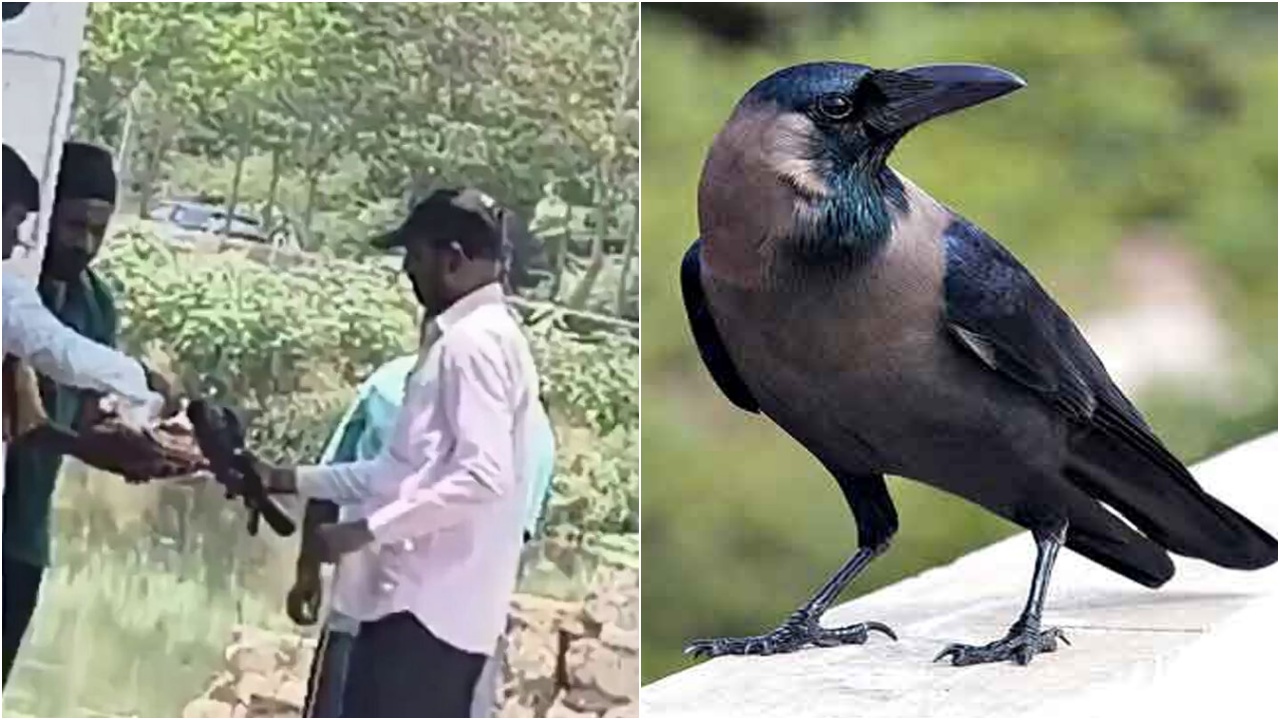 Puranapool Crow Incident : సిటీలో బలగం సీన్ రిపీట్.. పిండం ముట్టేందుకు కాకి రాలేదు.. ఏం చేశారో తెలిస్తే దిమ్మ తిరిగిపోతుంది