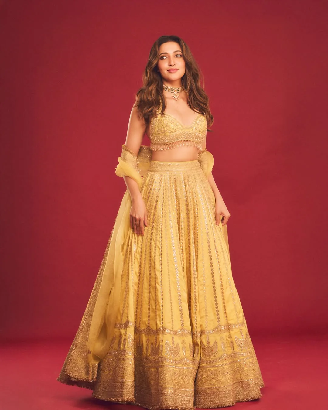 dj tillu fame neha shetty latest photo gallery