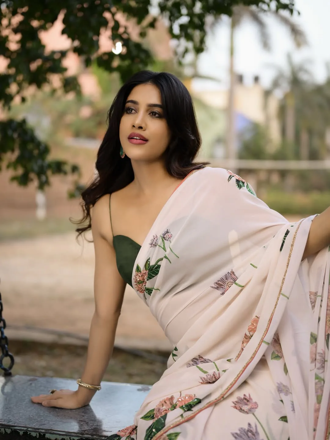 iSmart Shankar heroine Nabha Natesh photos in saree