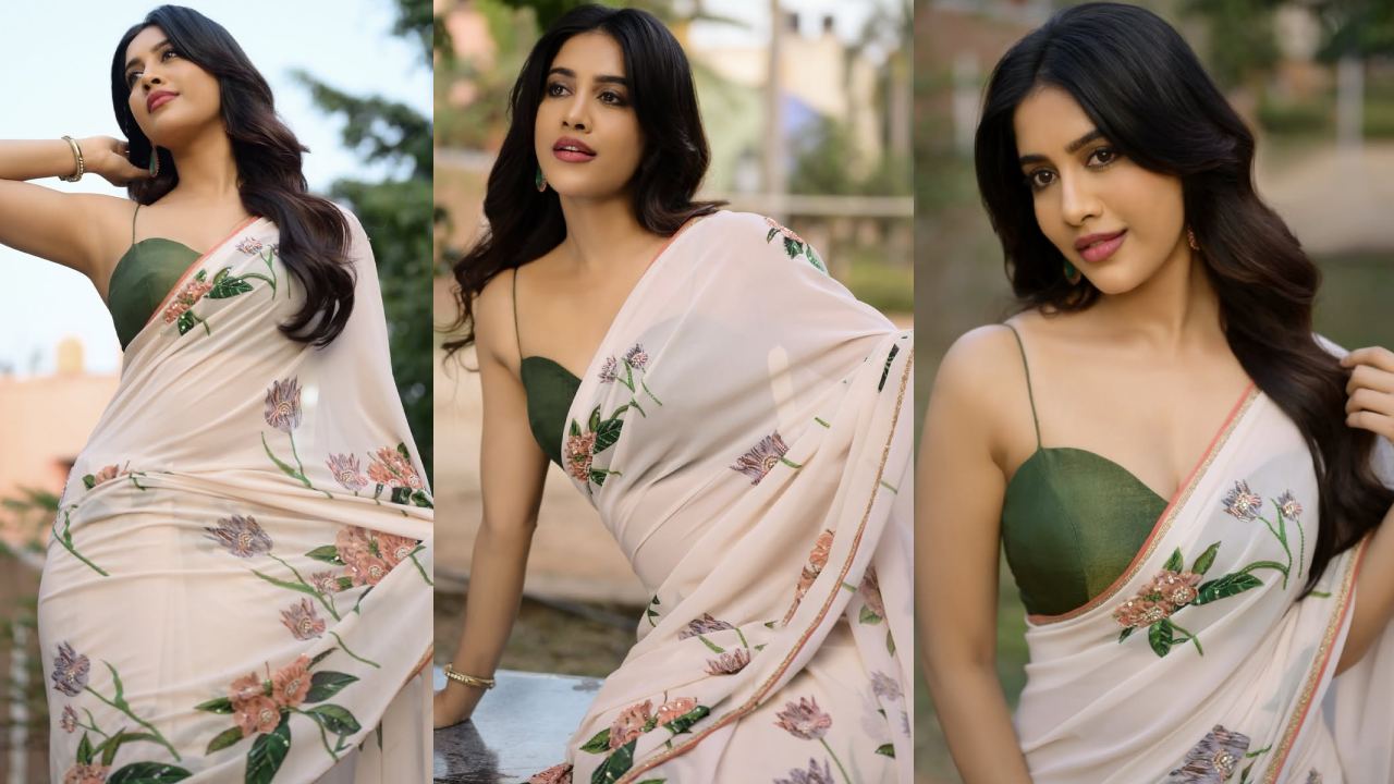 Nabha Natesh: చీరకట్టులో పరువాల విందు.. ఎద అందాలతో కట్టిపడేస్తున్న నభా నటేష్