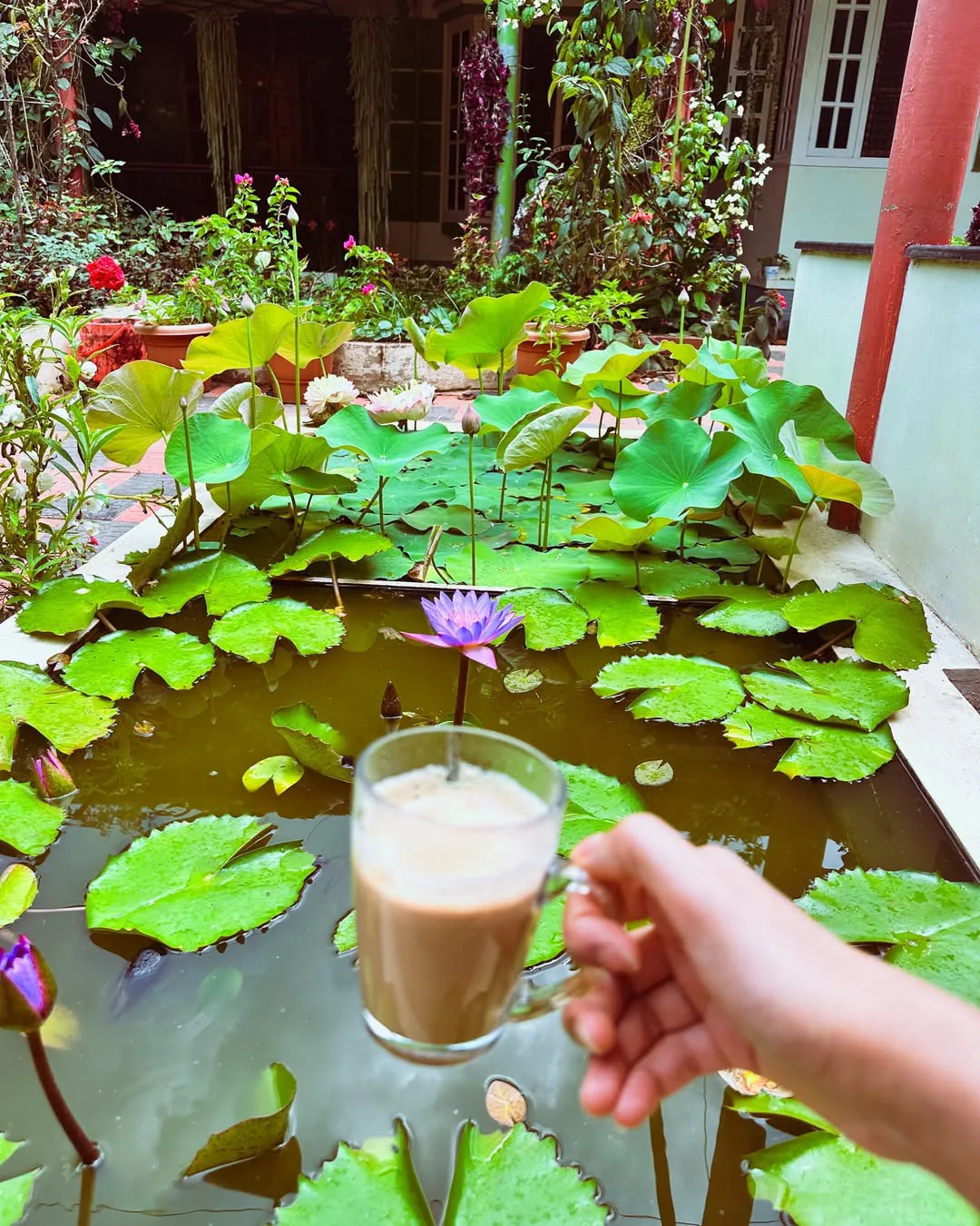 iSmart beauty Nabha Natesh visited her native place Sringeri with parents